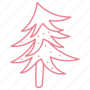 christmas tree, xmas tree, coniferous tree, evergreen tree, cedar tree