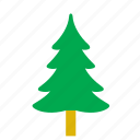 christmas, decoration, fir, nature, ornament, star, tree