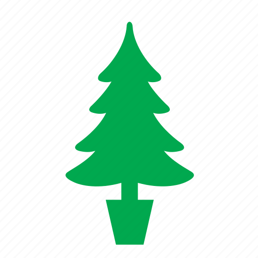 Christmas, decoration, fir, nature, ornament, star, tree icon - Download on Iconfinder