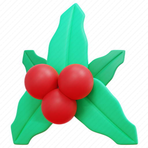 Mistletoe, ornament, decoration, xmas, christmas, 3d icon - Download on Iconfinder