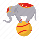 circus animal, jumbo, elephant, ball, circus entertainer