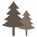 evergreen tree, fir tree, pine tree, tree, xmas tree 