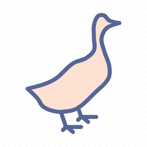 Duck, livestock, bird, farm, poultry icon - Download on Iconfinder