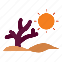 sun, trunk, wood, nature, climate, drought