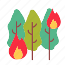 burning tree, burning, fire, danger, burn, hot, tree, plant