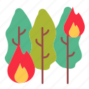 tree, forest, burning, fire