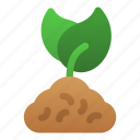 plant, growth, dirt, environment, sprout