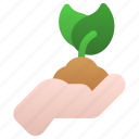 plant, hand, leaf, growth, care