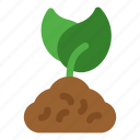 plant, growth, dirt, environment, sprout