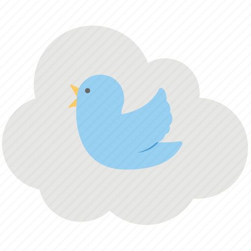 Cloud computing bird, cloud computing logo bird, cloud computing with social bird, cloud tweets, social network icon - Download on Iconfinder