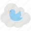 cloud computing bird, cloud computing logo bird, cloud computing with social bird, cloud tweets, social network 