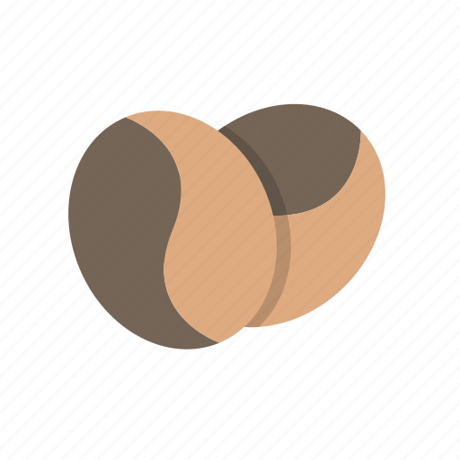 Coffee bean, fresh, seed, coffee icon - Download on Iconfinder