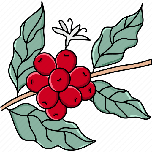 Coffee, cherry, bean, plants, cherries, fruit, nature icon - Download on Iconfinder