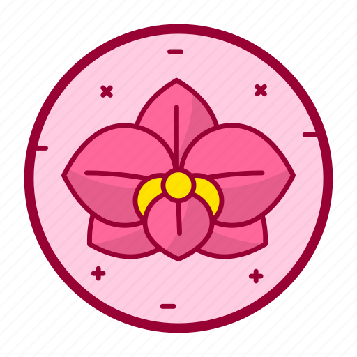Cattleya trianae, flower, colombian, plant, leaves icon - Download on Iconfinder