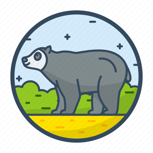 Bear, colombia, animal, panda, wild icon - Download on Iconfinder