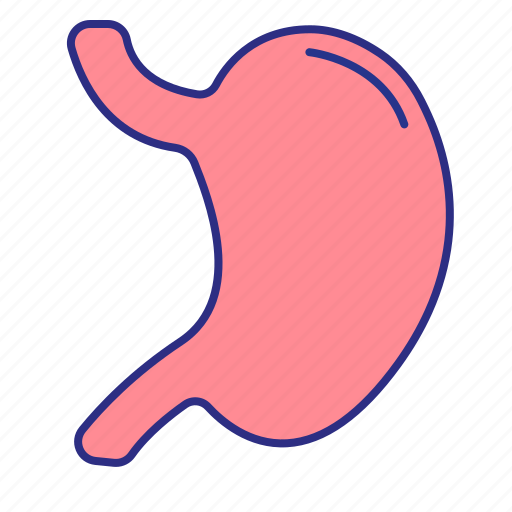 Anatomy, digestion, organ, stomach icon - Download on Iconfinder