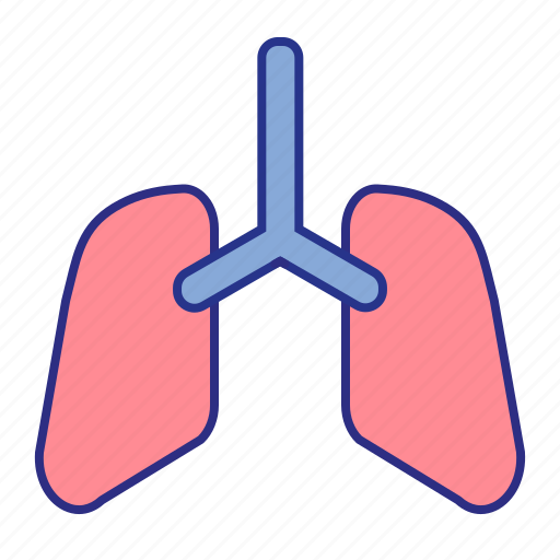 Lungs, medical, organ, respiratory icon - Download on Iconfinder