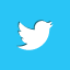 twitter, bird, social 