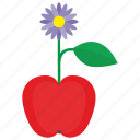 apple, bud, flower, fruit, plant