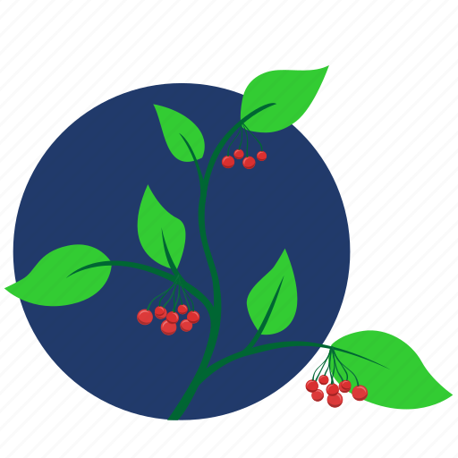 Branch, green, leaves, plant, rowan icon - Download on Iconfinder