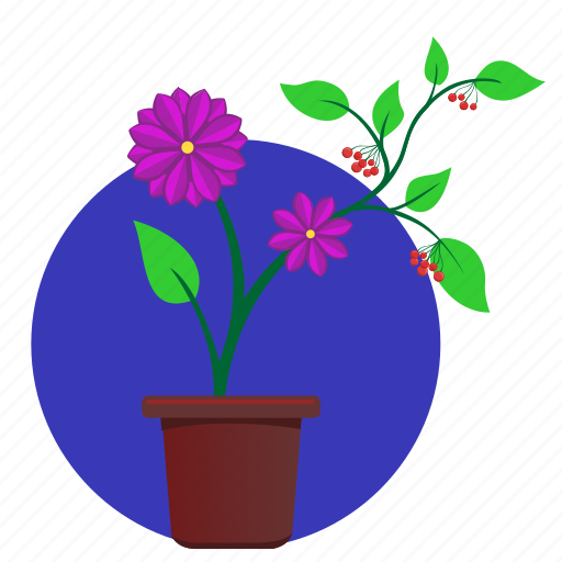 Astra, flower, home, plant, violet icon - Download on Iconfinder