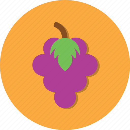 Food, fruit, grape, vegetable icon - Download on Iconfinder
