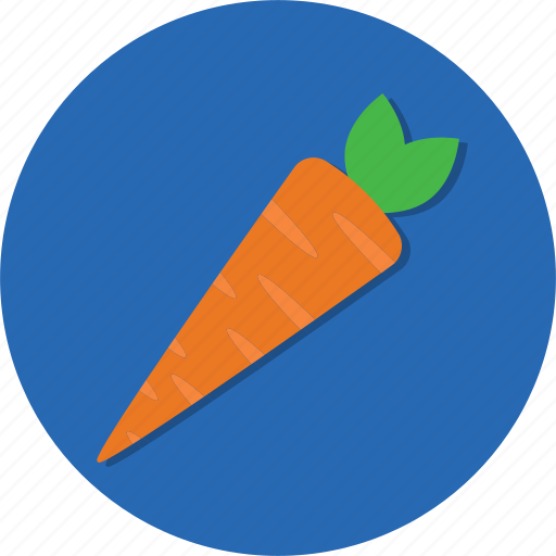 Carrot, food, fruit, vegetable icon - Download on Iconfinder