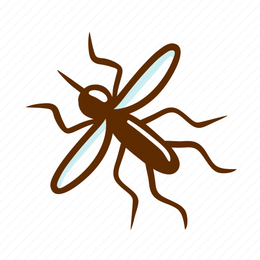 Mosquito, bite, outdoor, summer, insect icon - Download on Iconfinder