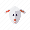 animal, cattle, easter, holidays, lamb, religion, sheep