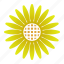 power, sunflower, bloom, yellow 