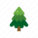 christmas, decoration, evergreen, green, pine, plant, tree