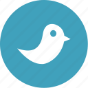 bird, media, network, social, twitter