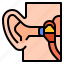 anatomy, auditory, communication, ear 