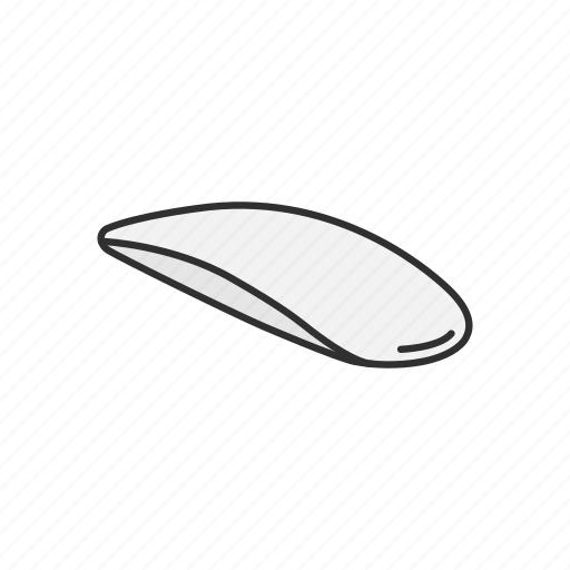 Bluetooth mouse, computer, computer peripherals, magic mouse, mouse, peripherals icon - Download on Iconfinder