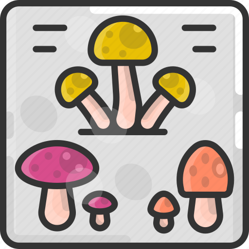 Food, fungus, mushroom, nature icon - Download on Iconfinder