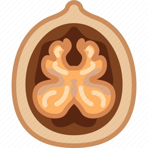 Cooking, food, gastronomy, ingredient, nut, walnut icon - Download on Iconfinder