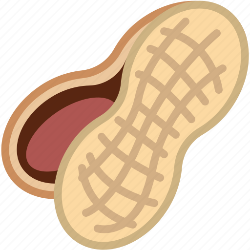 Cooking, food, gastronomy, ingredient, nut, peanut icon - Download on Iconfinder