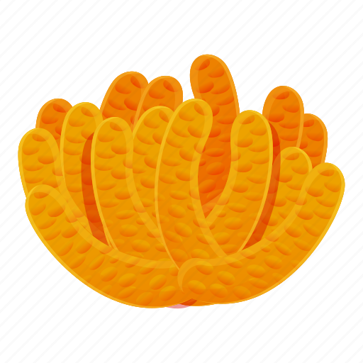 Beach, coral, orange, star, water icon - Download on Iconfinder