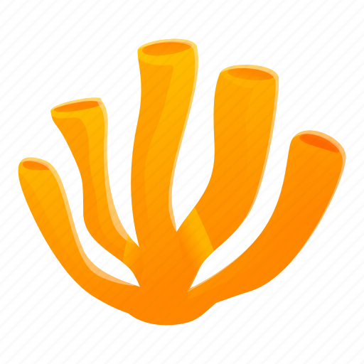 Beach, coral, hand, ocean icon - Download on Iconfinder