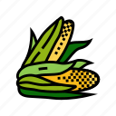 cob, corn, leaf, maize, green, sweet