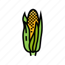 corn, cob, yellow, plant, maize, green
