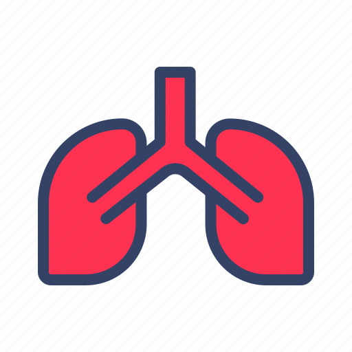 Anatomy, care, health, lung, lungs, medical, organ icon - Download on Iconfinder