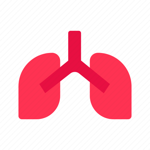 Anatomy, body, healtcare, human, lung, lungs, organ icon - Download on Iconfinder