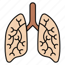 organ, breathing, corona, virus, lungs