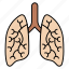 organ, breathing, corona, virus, lungs 