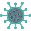antivirus, bacteria, cell, coronavirus, infection, malware 