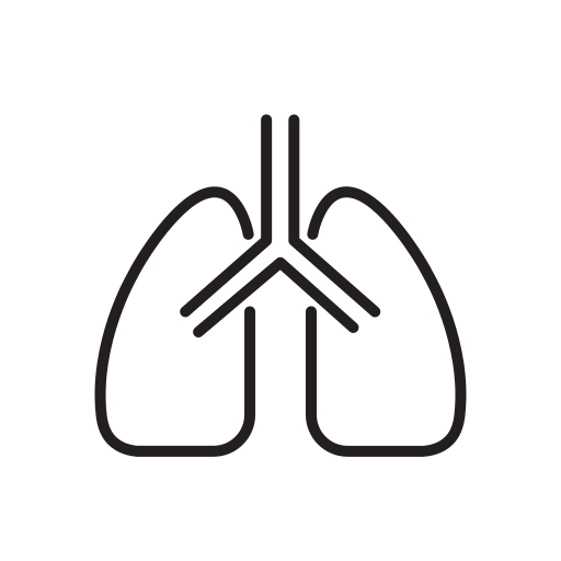 Lungs, coronavirus, covid icon - Free download on Iconfinder