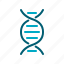 dna, genetic, helix, molecule, science 