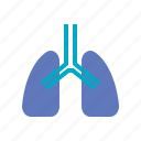 breath, health, lungs, organ, respiratory