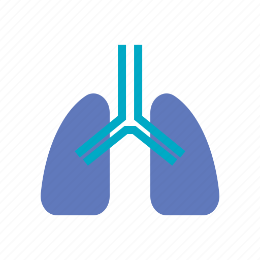 Breath, health, lungs, organ, respiratory icon - Download on Iconfinder